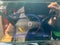 2024 Chevrolet Trax FWD 4dr 2RS